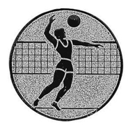 Volleyball Herren